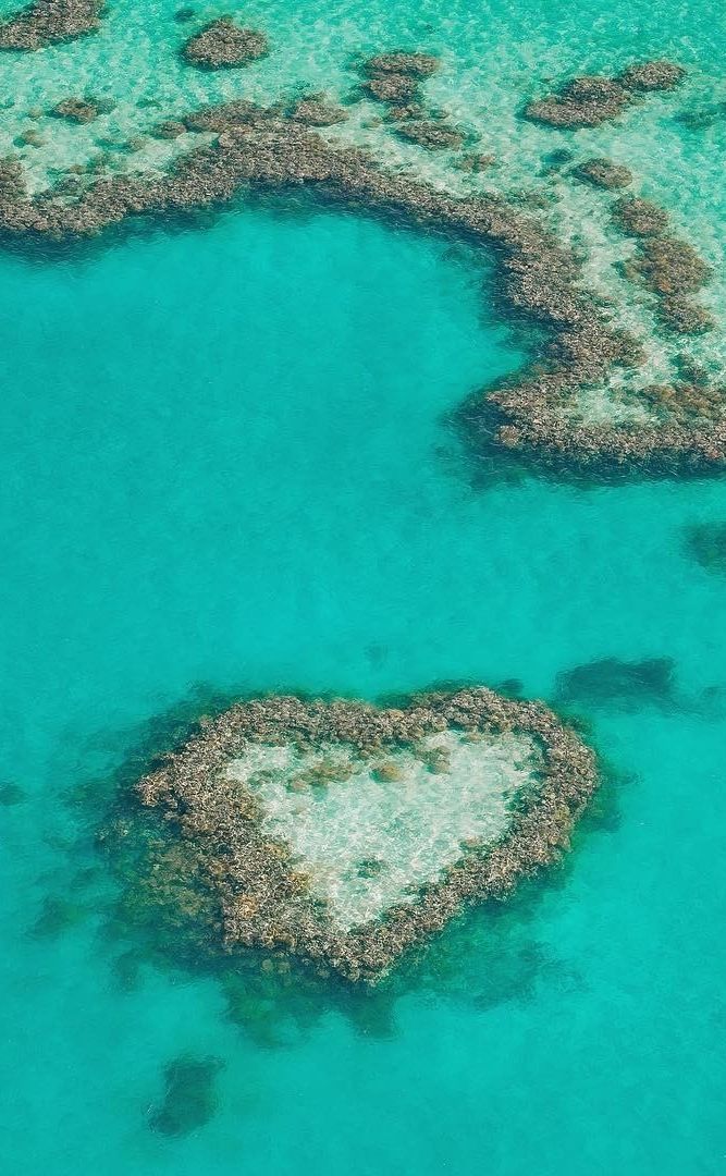 Reef Safe 101: How to Choose Ocean-Friendly Skincare and Haircare