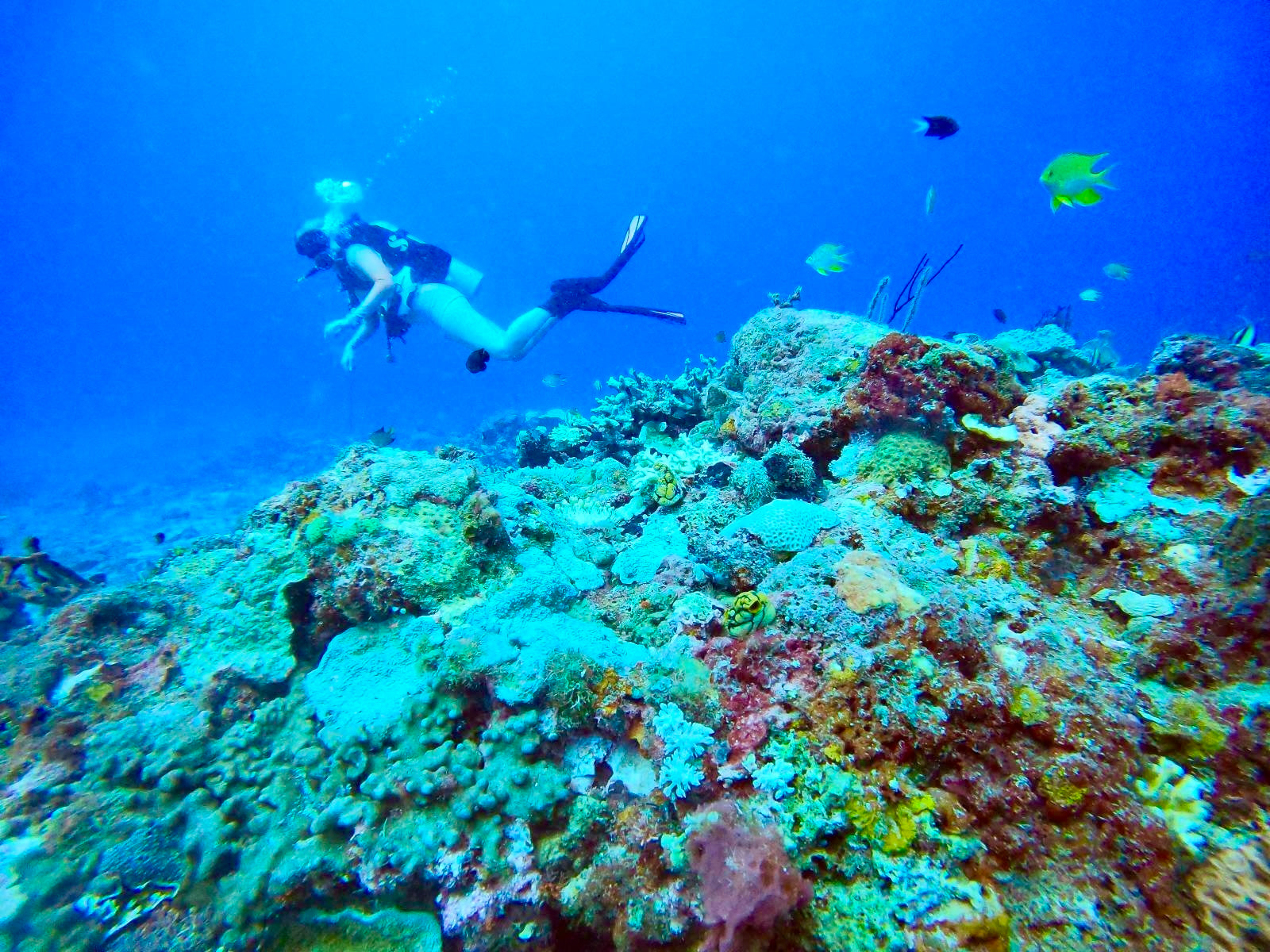 Meet KOOK – Our Origin Story & the Power of Cold-Water Therapy