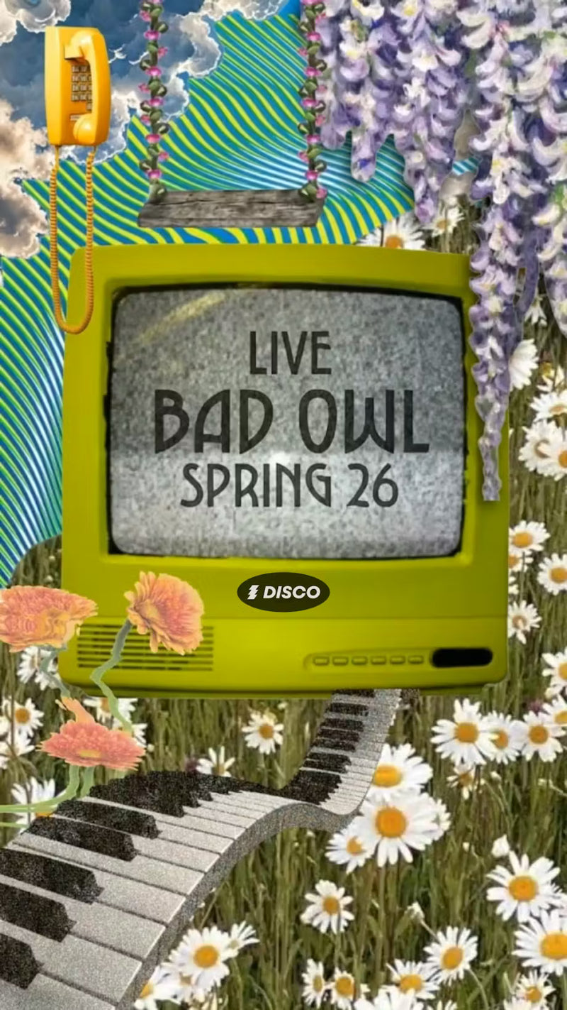 Bad Owl Live - Disco Spring